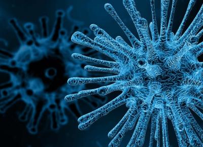 Coronavirus 2019-nCoV fue descubierto en China