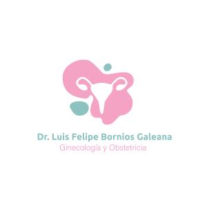 Dr. Luis Felipe Bornios Galeana - Ginecólogo, Ginecólogo Obstetra